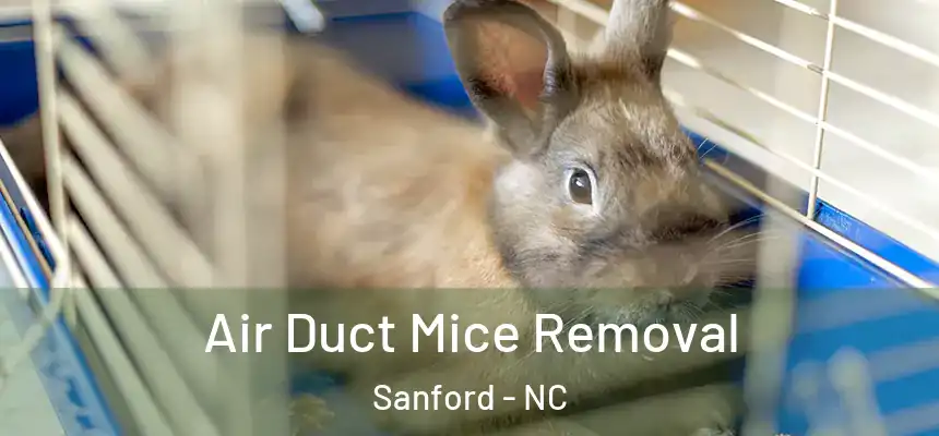 Air Duct Mice Removal Sanford - NC