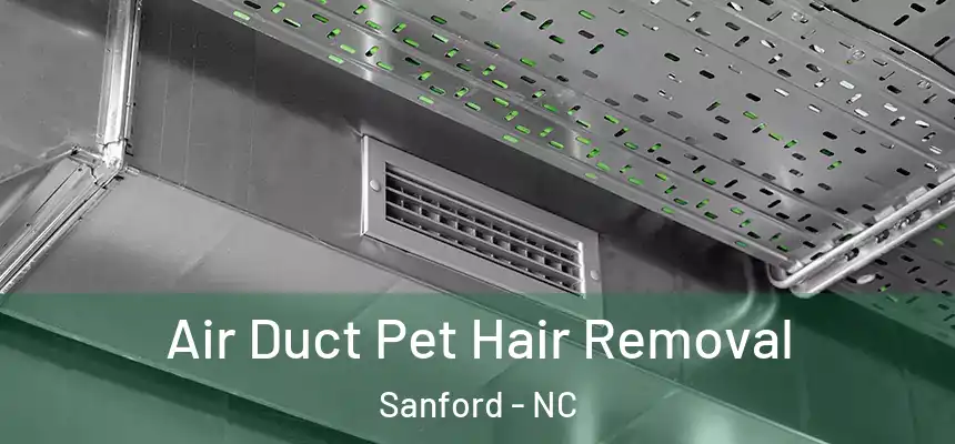 Air Duct Pet Hair Removal Sanford - NC