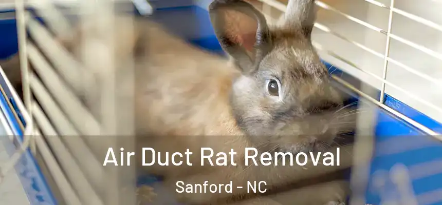 Air Duct Rat Removal Sanford - NC