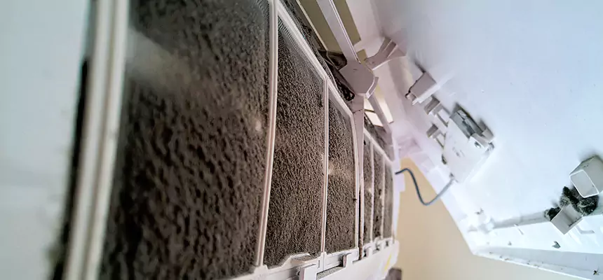 Preventive Air Duct Bacteria Removal in Sanford