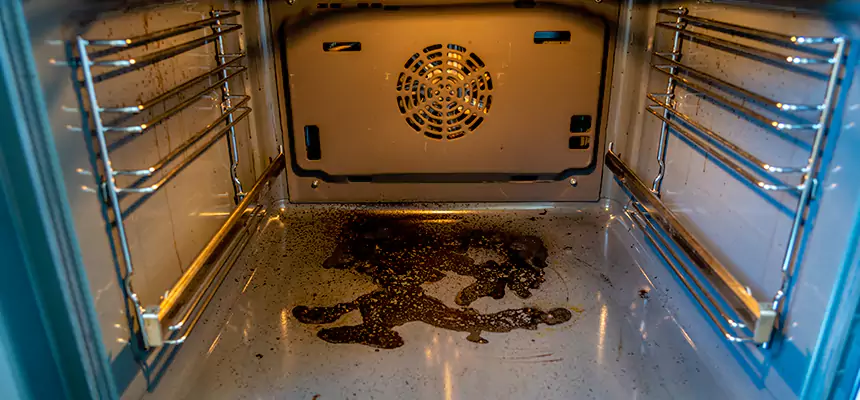 Our Dryer Vent Mold Cleaning Services in Sanford, NC