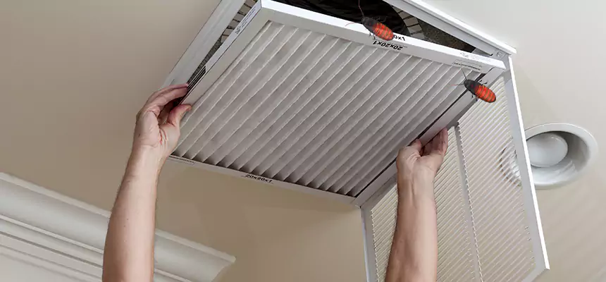 Our Insect Removal from Air Ducts Services in Sanford, NC