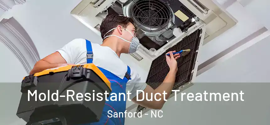 Mold-Resistant Duct Treatment Sanford - NC