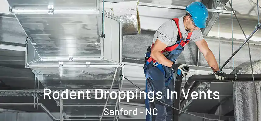 Rodent Droppings In Vents Sanford - NC