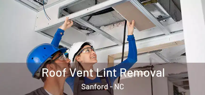 Roof Vent Lint Removal Sanford - NC