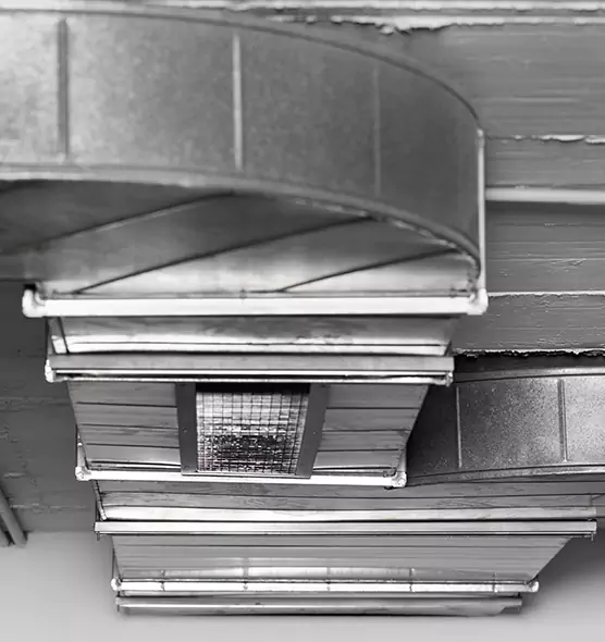 Professional Air Duct Pet Hair Removal in Sanford, NC