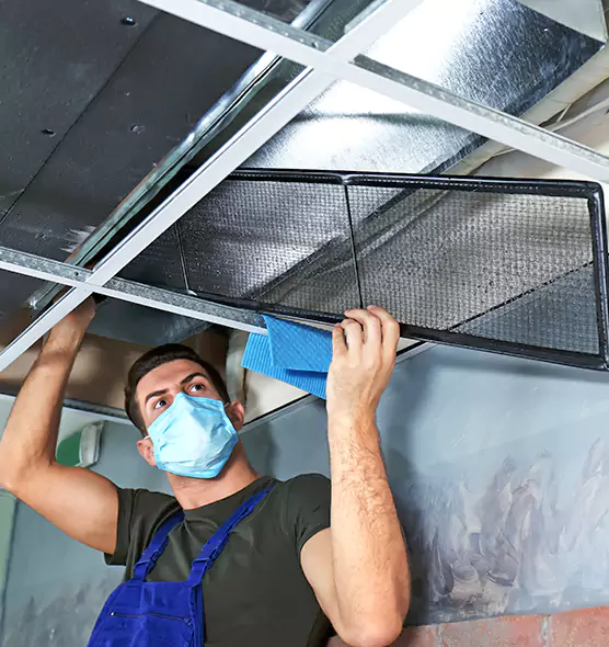Professional Air Duct Pollen Cleaning in Sanford, NC