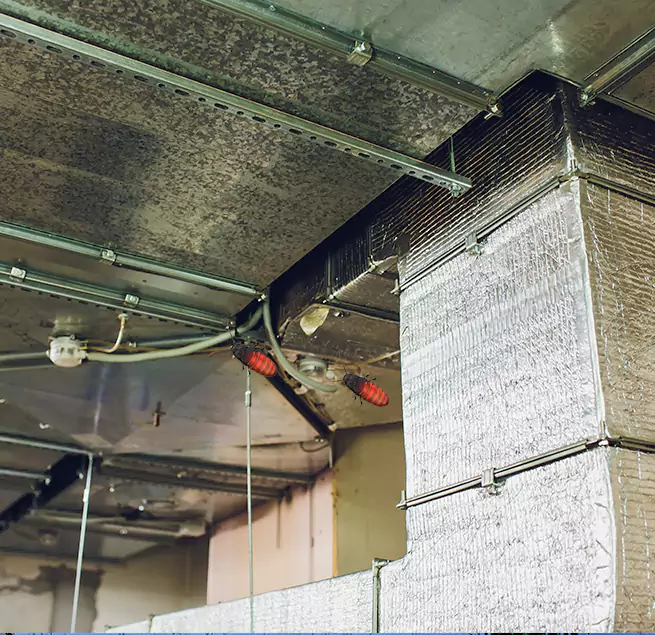 Why Homeowners & Businesses Trust Us in Sanford, NC?