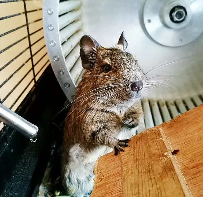 Why Homeowners & Businesses Trust Us Sanford, NC